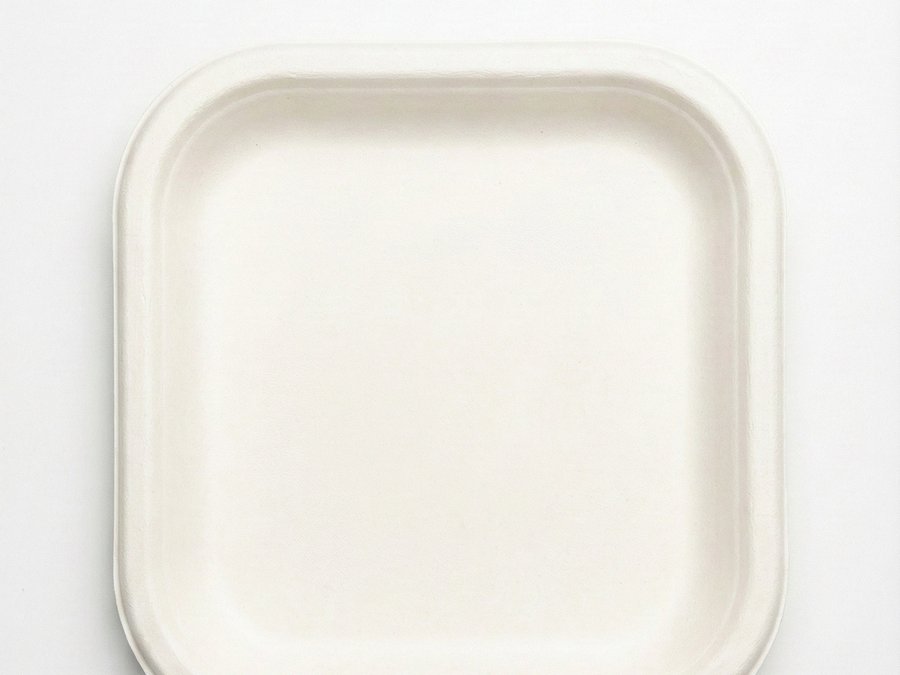Square Plate — certified compostable bagasse tableware
